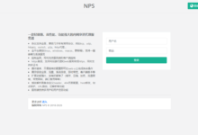 NPS内网穿透工具学习2-服务端搭建-孤岛