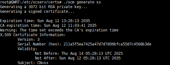 image-20250814132832956